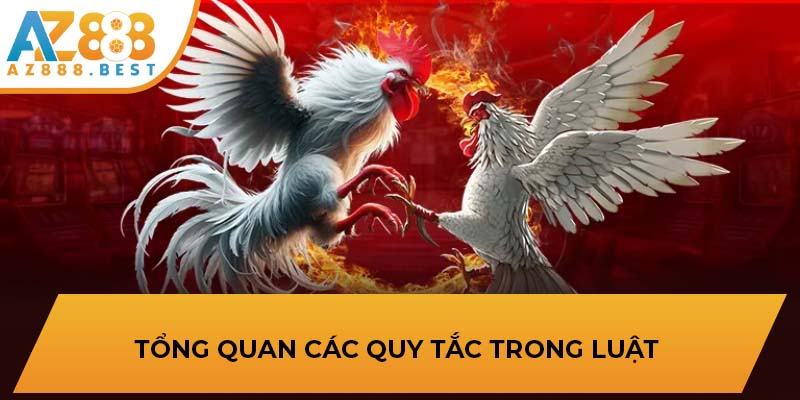 Tổng quan các quy tắc trong luật