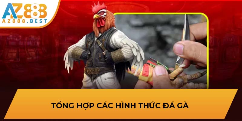 Tổng hợp các hình thức đá gà