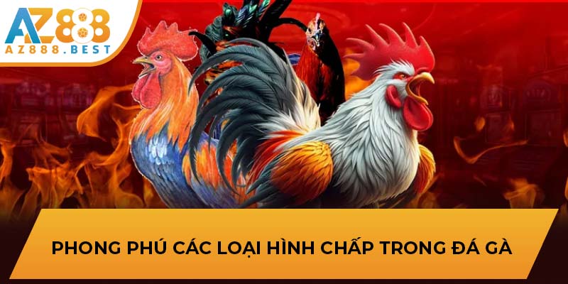 Luật chấp và biển thể trong luật đá gà