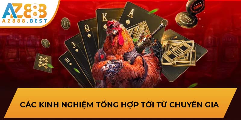 Các kinh nghiệm tổng hợp tới từ chuyên gia